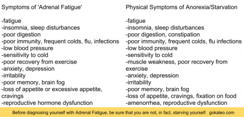 Adrenal Fatigue as a Cover for Starvation | Go Kaleo